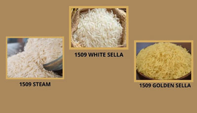 1509 BASMATI RICE